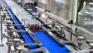 Marcatura della data su confezioni alimentari